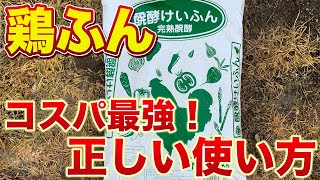 【最強肥料！】鶏ふんの使い方と注意事項！有機資材でコスパ最強！