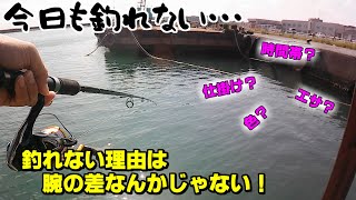 【サビキ釣り】ボウズなんて嫌だ！今さら聞けない釣果を上げるコツ