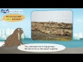 meet the animals walrus wild animals stories for kindergarten