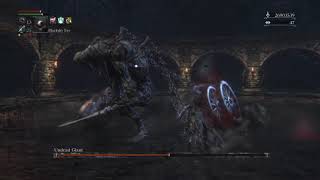 Bloodborne: Toughest Dungeon I've Ever Run - Depth 6 (75% HP cut, double rotted)