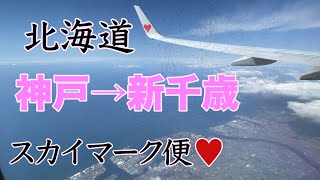 【神戸空港→新千歳空港】スカイマーク便での空の旅✈️