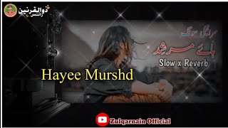 hay murshad song slowed reverb