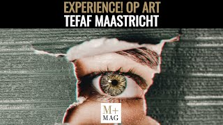 TEFAF MAASTRICHT 2024 #maastricht #tefafmaastricht #artbasel  #arthongkong #luxurysuite #hotel #Art