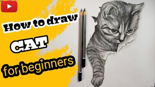 How to draw Cat for beginners | Drawings realistic cat easy | Tutorial |Timelapse