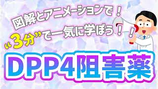 DPP-4阻害薬ってなんだっけ！？【3分で！！】