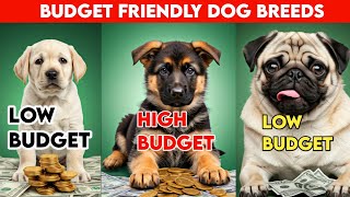 TOP 5 Budget Friendly Dog Breeds 2025 🤑 #dog #puppy #doglover #dogs