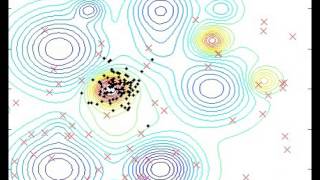 Ecological Systems Algorithm (ESA) optimizing a function