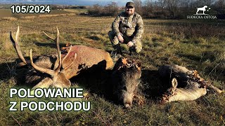 POV Triple Hunt! Hunting Red Stags Roe Deer and Wild Boars in Poland