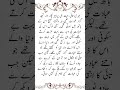 NAIK TAI Urdu Short Story Kahani markaz urdu sachi kahaniyan shortfeed