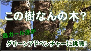 【造園】「この樹なんの木？」庭ガール達がグリーンアドベンチャーに挑戦！いくつわかるかな？