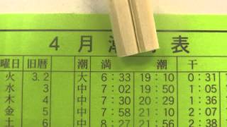 潮止まりとは　潮と魚釣果の一般的な関係【海釣り初心者基礎知識編】　和歌山釣太郎