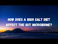 Effects of high sodium intake: How a high salt diet leads to poor health via the gut microbiome