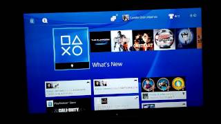 Play PS4 games on two consoles with one license & sharing PS+ access