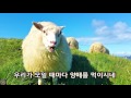 2017년 봄 장로 집회 2주 찬송