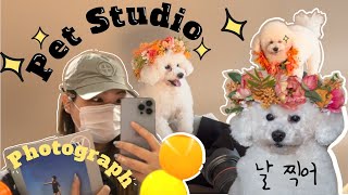 [일상 브이로그] only off vlog /루나🐶의 스튜디오 촬영기 /강아지 스튜디오 촬영/반려견 스튜디오/땡큐스튜디오/2021FW 꽃개 패키지/푸들🐩