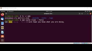 How to clear the Cache of npm packages