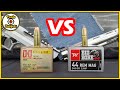 Deagle VS Anaconda!...Winchester Big Bore .44 Mag vs Hornady Custom .50 AE Ammo Ballistic Gel Test!