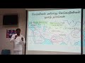 மூலப் பெருந்தமிழ் மரபு வகுப்பு 4 பாகம் 2 புக்கிட் மெர்தாசம்