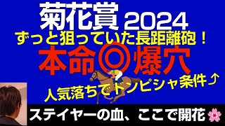 【SAS決着】菊花賞2024本命爆穴！「ずっと狙っていたステイヤーが人気落ちでドンピシャ条件！」