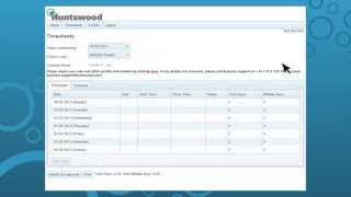 User tutorial - Online timesheet system
