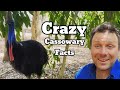 10 CRAZY Cassowary Facts You Didn’t Know