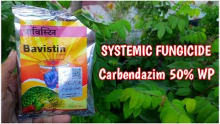 What Is Bavistin Fungicide ? How To Use Bavistin ? Systemic Fungicide Carbendazim (IN HINDI)