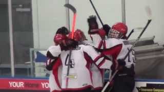 Brian Miller Great EHL Junior Titans Goal