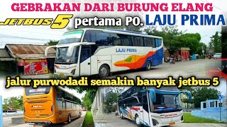 🔥 GEGER‼️LAJU PRIMA JALANKAN UNIT TERBARU JETBUS 5 PERTAMA DI JALUR CEPU🔥