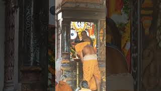 SRIKSHETRA PURI JAGANNATH TEMPLE PANCHUKA DARSHAN