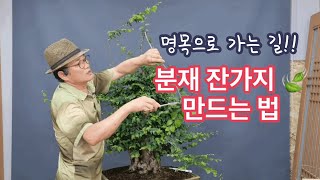 소사나무 잔가지 만드는방법/명목으로 가는길