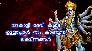 ഭദ്രകാളി ദേവി കൂടെ ഉള്ളപ്പോൾ നാം കാണുന്ന ലക്ഷ്ണങ്ങൾ...