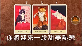 你將迎來一段甜美熱戀❤️愛情占卜 / 觀看無日期限制 / CC(Sub)EN-JP-TC