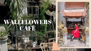 【曼谷/BKK Vlog】Wallflowers網美咖啡廳☕\u0026中國城覓食之非常熱的一天~ China Town café hopping 🌹