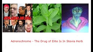 Stevia Herb Produces Adrenochrome - The Anti-Age Drug Of The Elite To Look Younger.