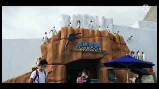 tuxedos restaurant@ocean park (you can see penguin while eating)dze dze tv