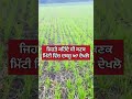 ਜਿਹੜੇ ਕਹਿੰਦੇ ਸੀ ਕਣਕ ਵਿੱਚ ਦਬਜੂ ਆ ਦੇਖਲੋ trending agripunjab farming punjabagriculture ਵਸਦਾਪੰਜਾਬ