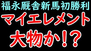 マイエレメントは強い！？福永祐一厩舎から大物候補登場！エピファネイア産駒はやっぱり期待！？【POG24-25】