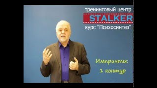 Психосинтез | Импринты: 1 контур | ТЦ \