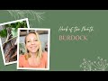 Herb of the Month: Burdock