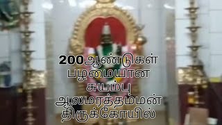 200 ஆண்டு பழமையான சுயம்பு அருள்மிகு ஆலமரத்தம்மன் திருக்கோயில், வடுகபாளையம், பொள்ளாச்சி