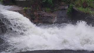 香港鰂魚涌柏架山山水奔流