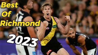 Best of AFL Richmond in Season 2023