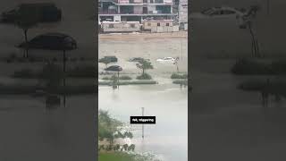 Year's worth of rain falls on Dubai in 12 hours