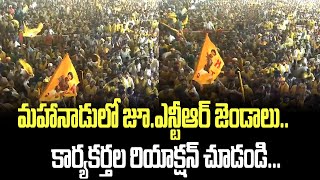 మహానాడులో జూ.ఎన్టీఆర్ జెండాలు.. కార్యకర్తల రియాక్షన్ చూడండి... | Mahanadu Junior NTR Flags