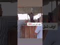 هجوم حصان على يده