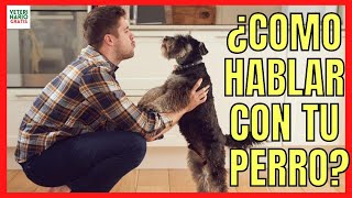 🐶 HOW TO TALK TO MY DOG SO HE UNDERSTANDS ME? 🐶 CANINE COMMUNICATION 1