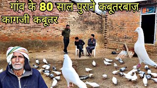 80 sal पुराने बुजुर्ग कबूतरबाज़ कागजी कबूतर ||#youtube #video #trending #trend #pigeon