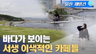 [울산 재발견🔍]  바다가 보이는 이색적인 카페들