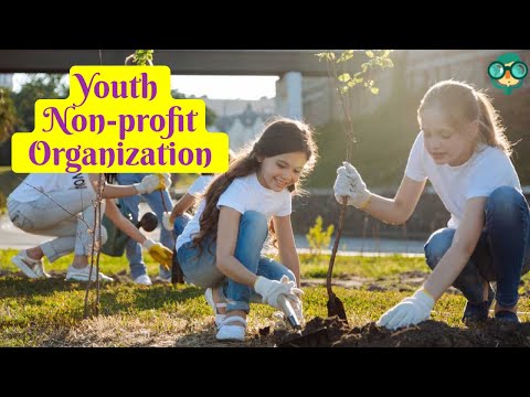 What are youth organizations and why are they important?