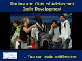 The Ins and Outs of Adolescent Brain Development